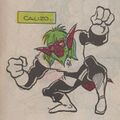 Calizo.JPG